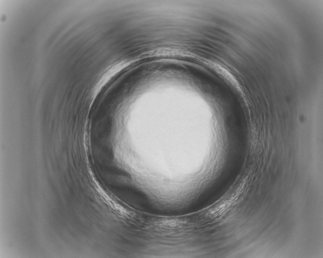 X0000059090847200510281747