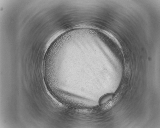 X0000059090855200510281747