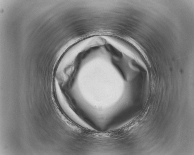 X0000059090861200510281747