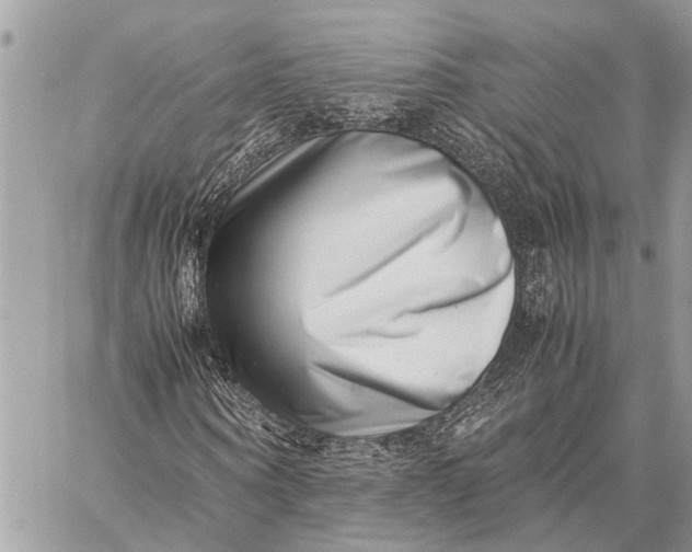 X0000059090866200510281746
