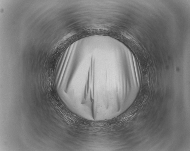 X0000059090870200510281746