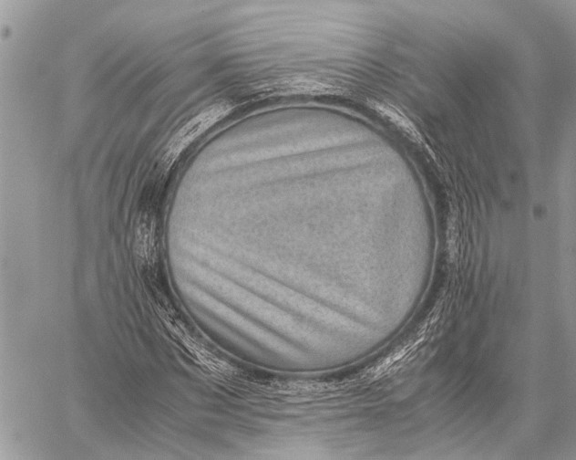 X0000059090873200510281746
