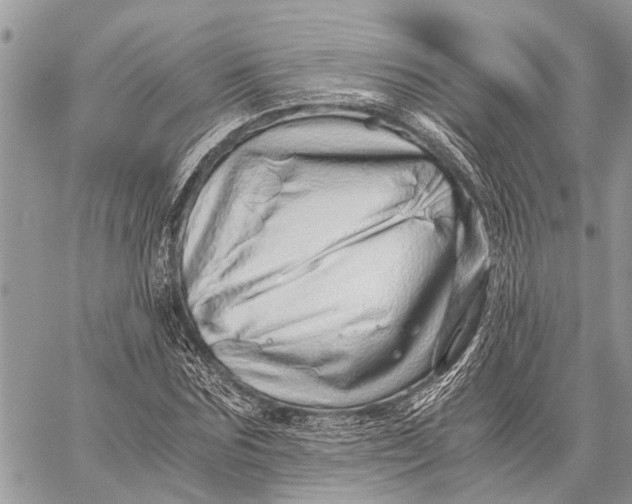 X0000059090875200510281746