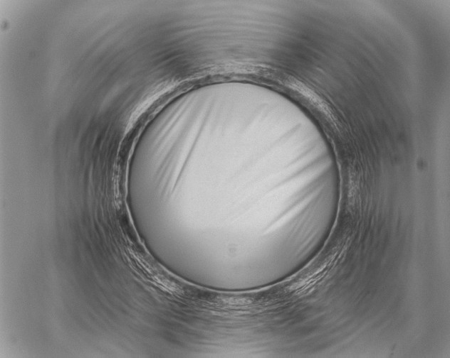 X0000059090878200510281746