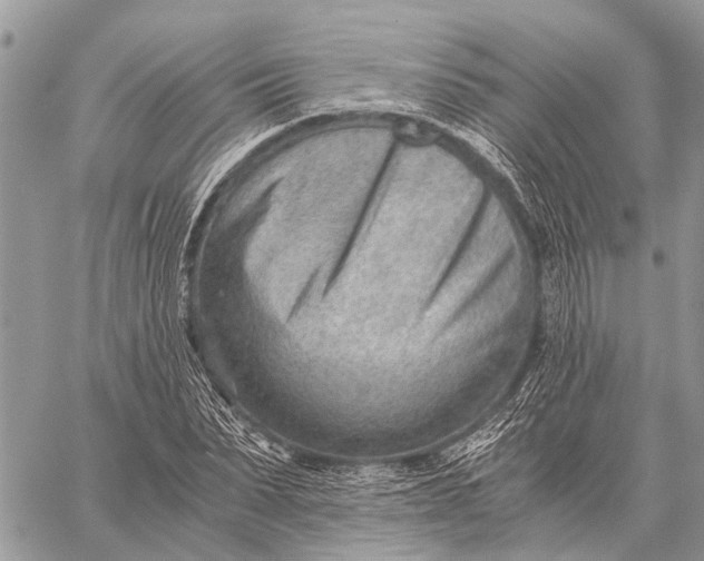 X0000059090879200510281746