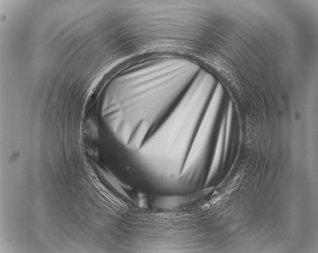 X0000059090880200510281746