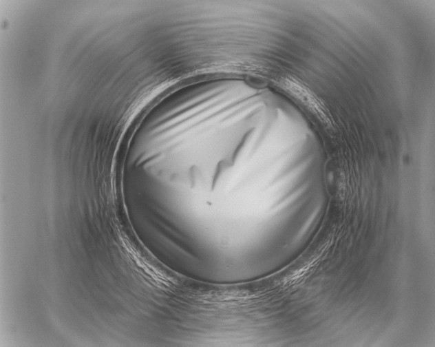 X0000059090884200510281746