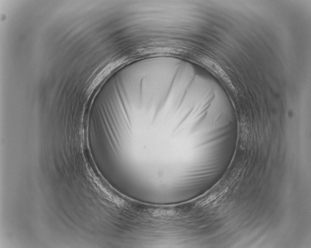 X0000059090890200510281746
