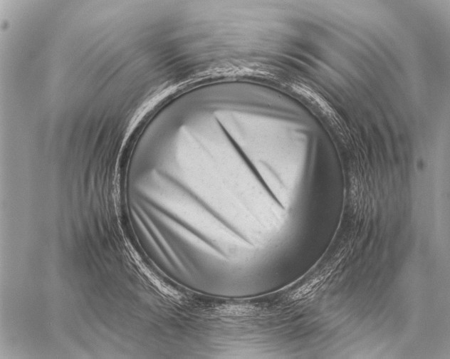 X0000059090894200510281746