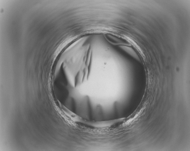 X0000059090901200510281746