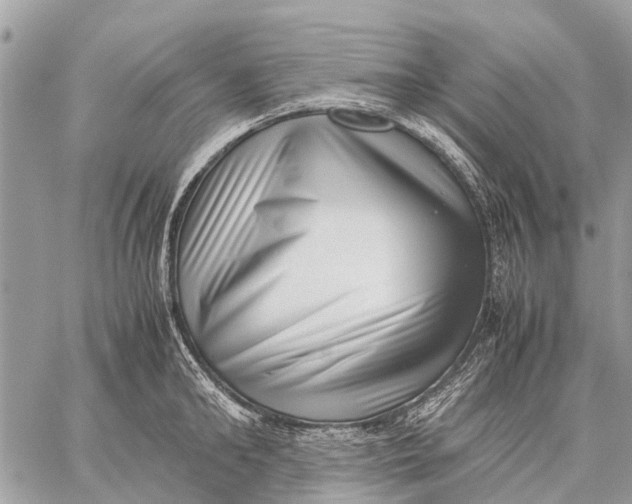 X0000059090902200510281746