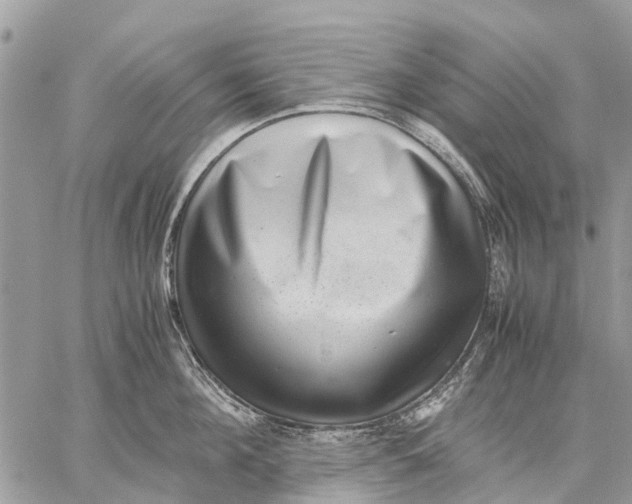X0000059090908200510281746