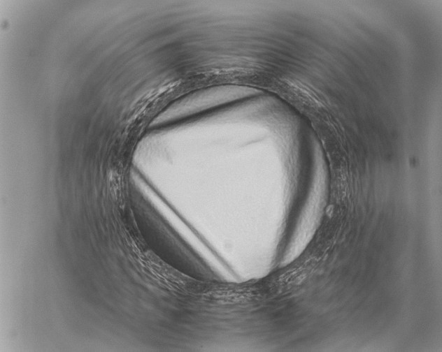 X0000059090917200510281745