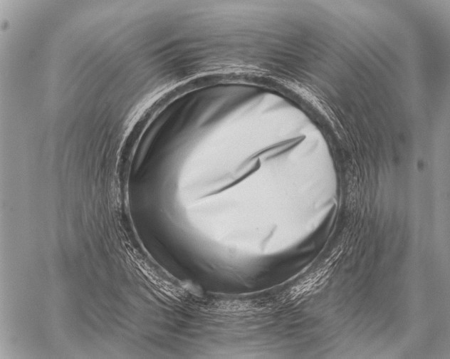 X0000059090927200510281745