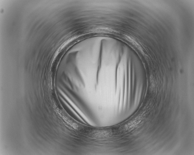 X0000059090931200510281745