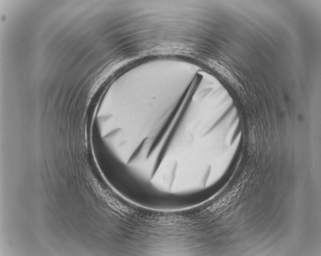 X0000059090934200510281745