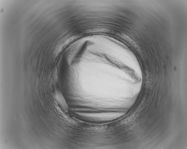 X0000059090937200510281745