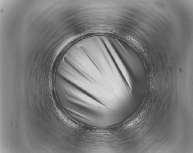 X0000059090942200510281745