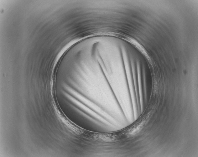 X0000059090955200510281745