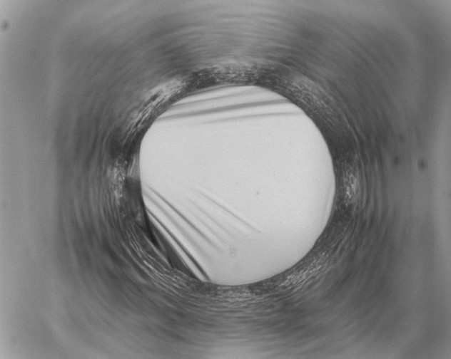 X0000059090964200510281745