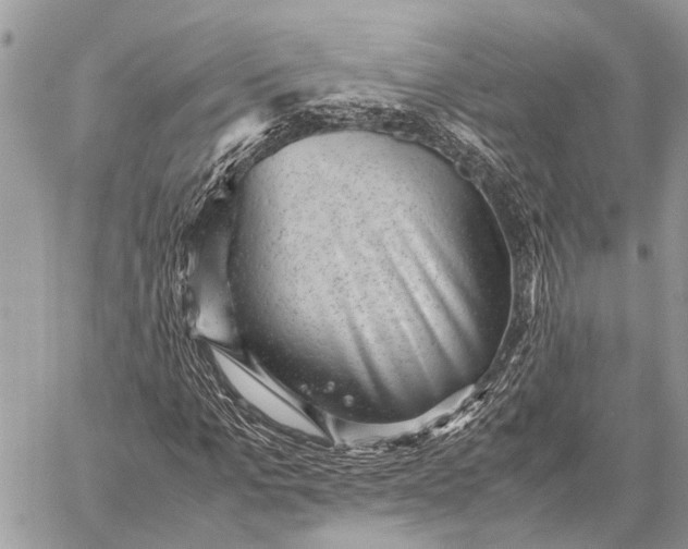 X0000059090965200510281745