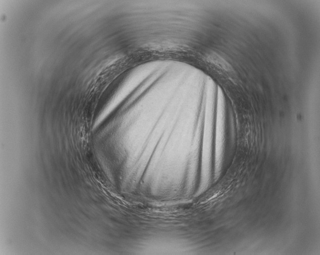 X0000059090966200510281745