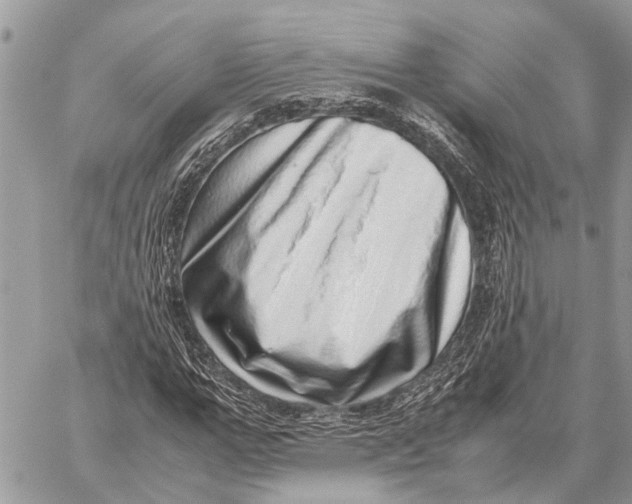 X0000059090967200510281745