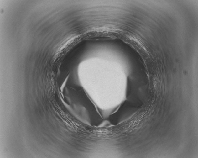 X0000059090968200510281745