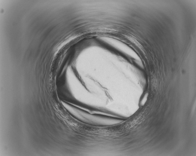 X0000059090971200510281745