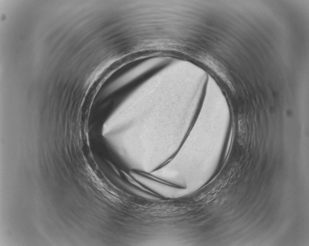 X0000059090972200510281745