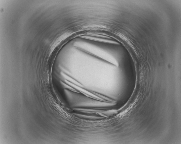 X0000059090973200510281744