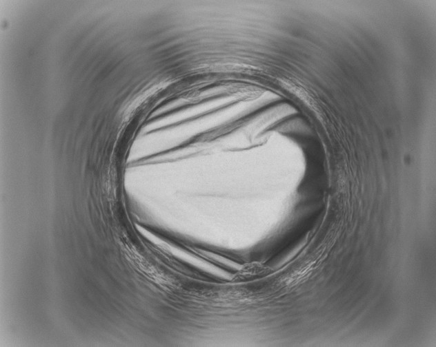 X0000059090979200510281744