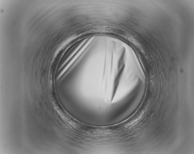 X0000059090981200510281744