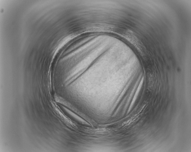 X0000059090982200510281744