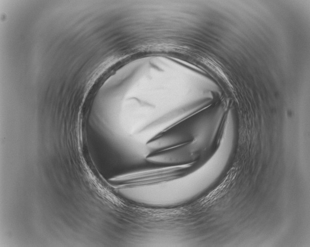X0000059090984200510281744