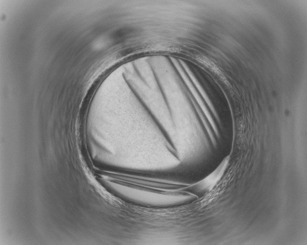X0000059090991200510281744