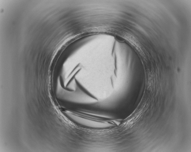 X0000059090992200510281744