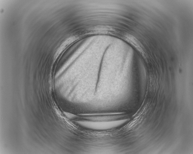 X0000059090994200510281744