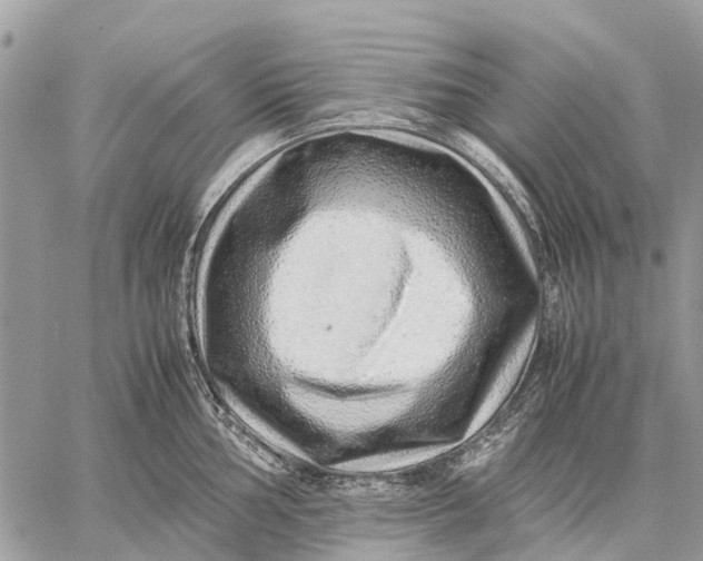 X0000059091002200510281744