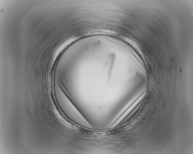 X0000059091003200510281744