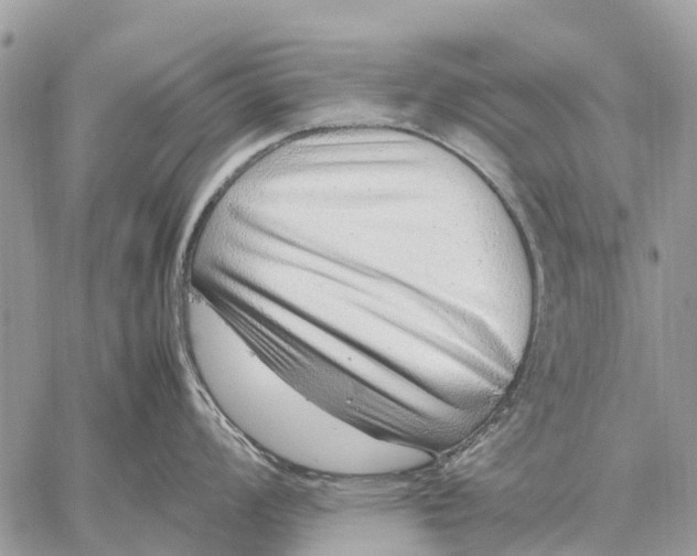 X0000059091008200510281744