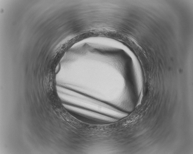 X0000059091016200510281743