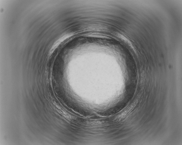 X0000059091019200510281743