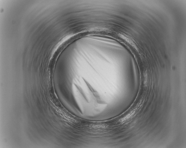 X0000059091021200510281743