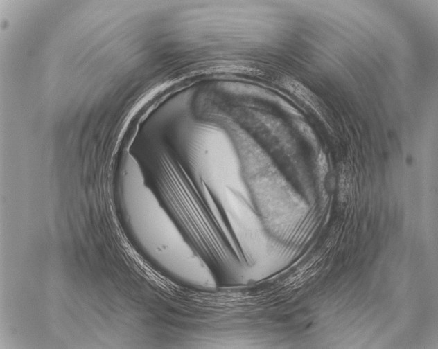 X0000059091024200510281743