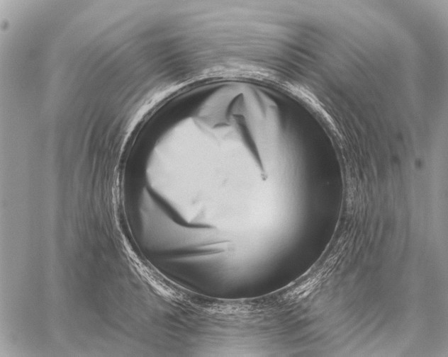 X0000059091040200510281744