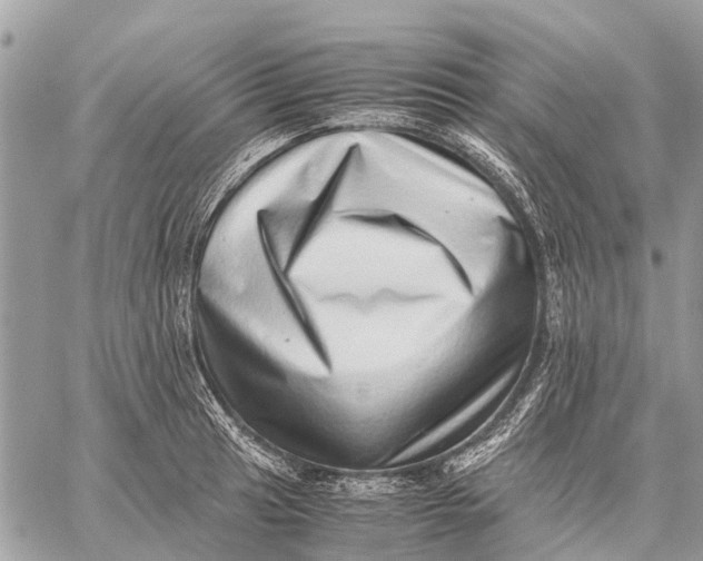 X0000059091041200510281744
