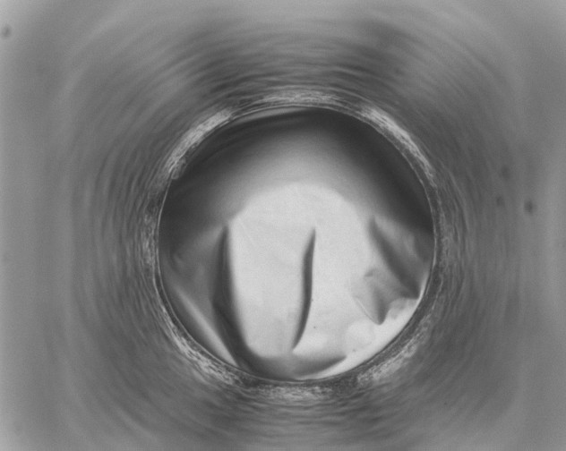 X0000059091049200510281744