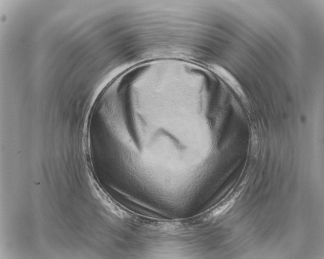 X0000059091052200510281744