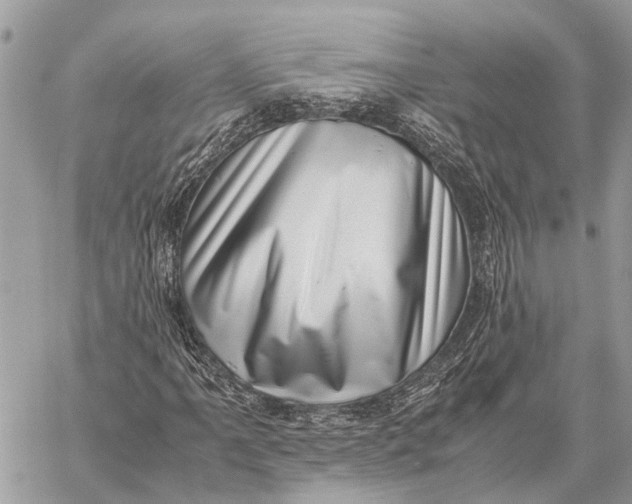 X0000059091061200510281743